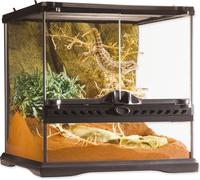 Terrarium en Verre - Mini - Mini/Large