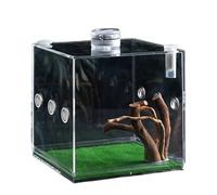 Terrarium en verre transparent pour reptiles - Terrarium en acrylique pour sauter la croissance des araignées, vue claire - Pour escargots, lézards, coléoptères et tortues