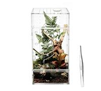 Terrarium Enclosure, Breathable Observation Tank, Escape Proof 30cm Acrylic Cage, Ventilated Lock System Build, Reptile Habitat Feeding Box, Jumping Spider Lizard Tarantula Mantis Frog Breeding Use