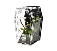 Terrarium Escargot - Terrarium Respirant Acrylique Transparent | Couverture de Prévention D'échappement Pour Amphibiens, Réservoir Gecko Tintin | Pour Animal De Compagnie Lézard Tortue Rhinocéros