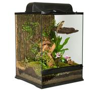 Terrarium Naturalistic