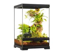 Terrarium Paludarium 30x30x45cm Reptile Et Amphibien Pro Terrarium Pt4401 - Exo Terra