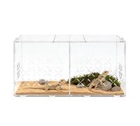 Terrarium PC pour reptile, enclos de tarentule pour chambre double, kit de démarrage pour réservoir d'araignée, récipient gecko léopard, habitat de crabe ermite, logement de lézard, cage d'araignée