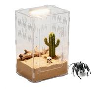 Terrarium pour Araignées - Boîte en Acrylique Transparent pour Habitat avec Zone Caverne - Enclos pour Araignées | pour Reptile Tortue Dragon Barbu Serpent Tortue Terrestre Gecko Bernard-