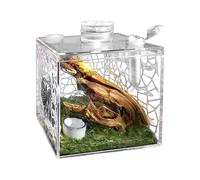 Terrarium pour araignées | Cage en Acrylique Transparent pour Élevage d'animaux Domestiques,Boîte d'élevage pour Reptiles | pour Maison, Salon, Petit Animal : Mante Religieuse, Lézard, Escargot