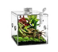 Terrarium pour araignées,Cage en Acrylique Transparent pour Élevage d'animaux Domestiques,Terrarium pour Escargot - pour Salon, manthe Religieuse, Petite Faune