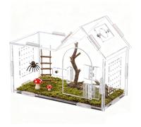 Terrarium pour Araignées Habitacle Transparent À Ventilation Optimisée