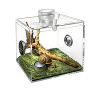 Terrarium pour araignées,Habitat Transparent en Acrylique pour Animaux - Boîte d'élevage pour Reptiles,pour Salon, manthe Religieuse, Petite Faune