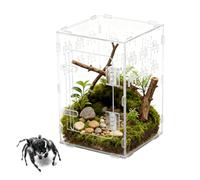 Terrarium pour araignées sauteuses | Récipient acrylique transparent Habitat Zone grotte - Accessoires pour araignées sauteuses | Pour serpent, tortue et gecko, cancer ermite, reptile poisson
