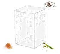 Terrarium pour Araignées Zone d'escalade Transparente