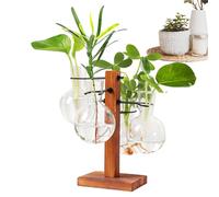 Terrarium pour de bureau, jardinière en verre avec support, Support de jardinière à air hydroponique de bureau, Vase en verre à ampoule moderne, Vase en verre à ampoule de Terrarium avec support en bo