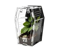 Terrarium pour Les Escargots Boîte Transparente Respirante Compacte en