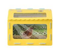 Terrarium Pour Lézards De Compagnie Et Reptiles Habitats Paysagers Grande