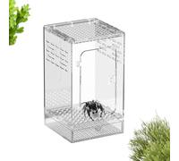 Terrarium pour Mygale Arboricole Habitat Transparent Anti-Évasion | Boîte d'Élevage pour Reptiles et Araignées Pour l'Élevage et le Nourrissage en Intérieur pour Lézards Geckos Serpents Crabes