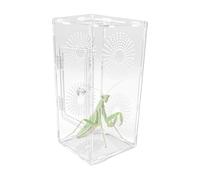 Terrarium pour Phidippus - Terrarium Transparent pour Mantes et Grenouilles,Accessoires d'alimentation Respirants Et Sécurisés pour Mantes Et Araignées Sautantes