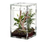 Terrarium pour reptiles - Boîte en acrylique de 20 cm, porte d'ouverture frontale, trous d'aération, habitat anti-évasion pour observation, maison, magasin de zoo, chambre à coucher, salon, bureau et