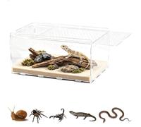 Terrarium pour Reptiles en Acrylique, Terrarium Escargot Transparent Petit avec Trous d'Aération Vivarium, Enclos pour Lézard, Aquarium d'élevage pour Insectes, Tarentules, 20 x 12 x 12 cm