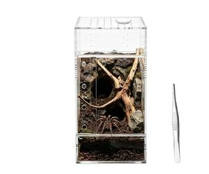 Terrarium Pour Reptiles Environnement de vie transparent et bien respirant | Terrarium Pour Gecko Et Cage À Dragon Barbu Pour Tarentule Grenouille Gecko Lézard Serpent Alimentation Reproduction Es