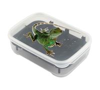 Terrarium pour Reptiles, Terrarium à 14 grilles pour Serpents, Habitat Transparent pour élevage et Transport d'araignées, Scorpions et Animaux Exotiques avec évolutive pour