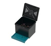 Terrarium pour Saltiques - Petit Format - Aéré pour Projets Scientifiques Extérieur Camping Voyage Présentations Pédagogiques Séjour Appartement