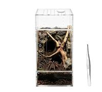 Terrarium Reptiles Acrylique Transparent Anti-Évasion