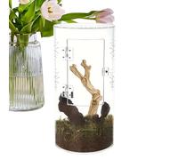 Terrarium Spider - Acrylic Terrarium Climbing, Tarantula Habitat Box | Araignées étanches à la maison, réservoir acrylique arboréal, terrarium pour sauter araignées et insectes des prières de Dieu et
