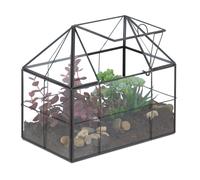 Terrarium Terrarium interieur forme mini serre Terrarium plante Terrarium deco