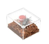 Terrarium transparent pour escargots - Boîte d'alimentation en acrylique - Petit terrarium - Pour lézard, escargot, serpent, tortue, grenouille, gecko - Durable - Facile à nettoyer - Boîte