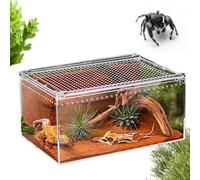 Terrarium Transparent pour Reptile - Conteneur d'habitat Robuste, Affichage Primaire du Vivarium, Cage d'araignée en Acrylique | logement de qualité pour Petit Animal de Compagnie, Parfait pour