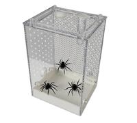 Terrarium Transparent pour Tarentule - Enclos intérieur Amovible pour Reptiles pour et Adultes, Salle de Classe, araignée, mante, Gardon, Scorpion, scarabée, Crickets, Fourmis