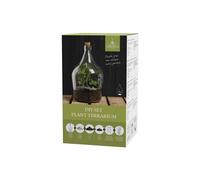Terrarium végétal à faire soi même 3 lit