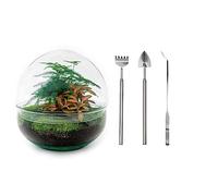 Terrarium végétal - Dome Rood - Ecosystème végétal -↑20 cm - Jardin en Bouteille - Bricolage - Kit de Bricolage - Ensemble Complet de Terrarium - Mini écosystème avec Plantes en Bouteille