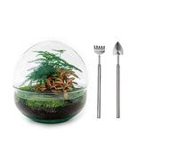 Terrarium végétal - Dome Rood - Ecosystème végétal -↑20 cm - Jardin en Bouteille - Bricolage - Kit de Bricolage - Ensemble Complet de Terrarium - Mini écosystème avec Plantes en Bouteille