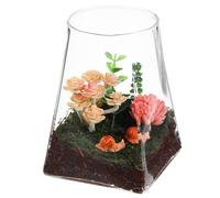 Terrarium Végétal en Verre Transparent, Design Simple pour Bureau | Bouteille Micro-paysage, Fond Plat et Partie Supérieure Arrondie, sans Couvercle, Décoration Intérieure