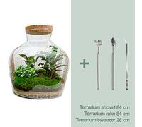 Terrarium végétal - Fat Joe - Ecosystème végétal -↑30 cm - Jardin en Bouteille - Bricolage - Kit de Bricolage - Ensemble Complet de Terrarium - Mini écosystème avec Plantes en Bouteille