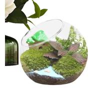 Terrarium végétal | Vase de Bol à Poisson en Verre avec Bouche inclinée Transparent Transparent Contenant de la à air | Porte- Oblique pour la décoration de Maison Moderne de la bouteill