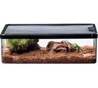 Terrarium ventilé pour reptiles : clôture transparente anti-fugue pour lézards, coléoptères, araignées et scorpions