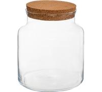 Terrarium - Verre - H21 cm - Atmosphera créateur d'intérieur