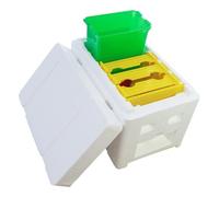 Terrarium Vivarium Insectes Boîte D'élevage D'abeilles Apidea Nuc D'accouplement Ruche Nucs De Reines Portable Trous d'air