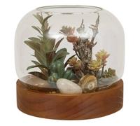 Terrarium Wonj 15,7x14cm - Atmosphera Créateur d'intérieur