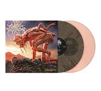 Terrasite Vinyle Gris et Beige