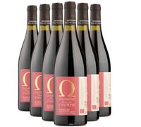 Terrasses du Larzac Habilis - Rouge 2021 - Domaine Plan de l'Homme - Vin Rouge du Languedoc - Roussillon (6x75cl) BIO