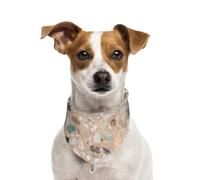 Terrazzo Pierre Naturelle,Bandanas pour Chien, écharpe en Coton, Bavoirs réglables pour Animaux de Compagnie,S