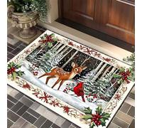 Terre De Diatomée 50X80 Oiseau Rouge Ultra Absorbant Tapis De Bain,Tapis Antidérapant Baignoire Séchage Rapide Doux,Facile À Nettoyer,pour Porte D'Entrée,Chevet,Cuisine,Salon