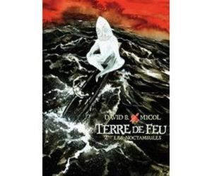 Terre de Feu Hugues Micol (Auteur), Hugues Micol (Illustration), B. David (Auteur)