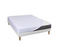 Terre de Nuit - Drap Housse Jersey Blanc Bonnet 30 cm 100% Coton 140x190/200 - Uni
