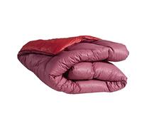 Terre de Nuit - Édredon gonflant Bicolore Cerise-Violet 150x170 - - Violet - Uni