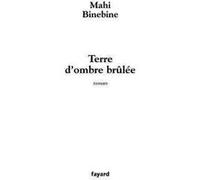 Terre d'ombre brûlée Mahi Binebine (Auteur)