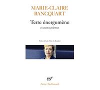 Terre énergumène/Dans le feuilletage de la terre/Verticale du secret