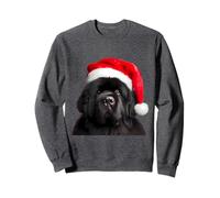 Terre-Neuve avec bonnet de Père Noël Propriétaire de chien de Noël Sweatshirt